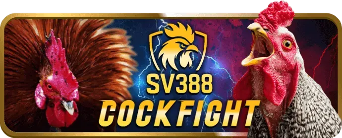 Đá Gà hi88